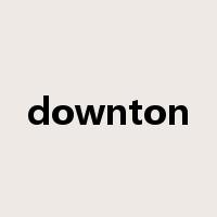 downton是什么意思
