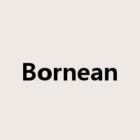 Bornean是什么意思