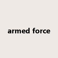 armed force是什么意思