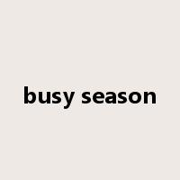 busy season是什么意思