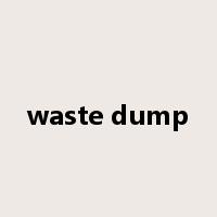 waste dump是什么意思