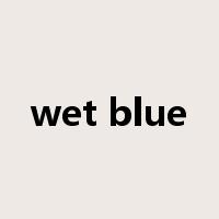 wet blue是什么意思