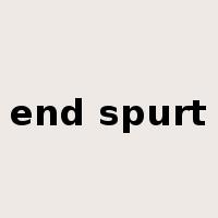 end spurt是什么意思
