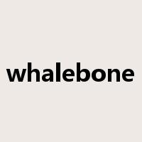 whalebone是什么意思