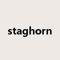 staghorn是什么意思