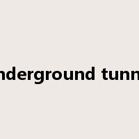 underground tunnel是什么意思