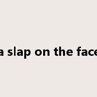 a slap on the face是什么意思