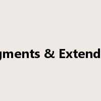 Pigments & Extenders是什么意思