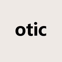 otic是什么意思