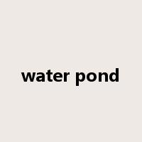 water pond是什么意思