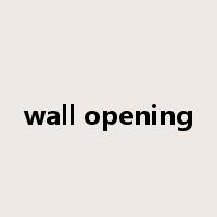 wall opening是什么意思