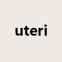 uteri是什么意思
