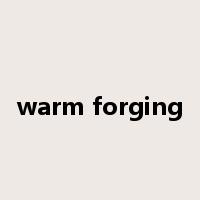 warm forging是什么意思