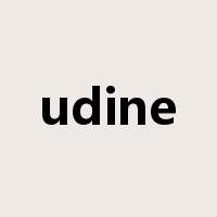 udine是什么意思