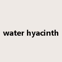 water hyacinth是什么意思