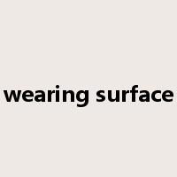 wearing surface是什么意思