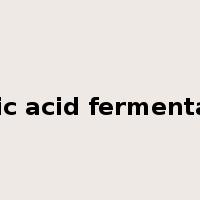 acetic acid fermentation是什么意思