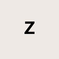 Z是什么意思