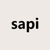 sapi是什么意思