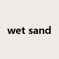 wet sand是什么意思