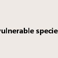 vulnerable species是什么意思