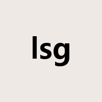 lsg是什么意思