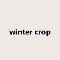 winter crop是什么意思