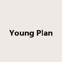 Young Plan是什么意思