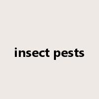 insect pests是什么意思