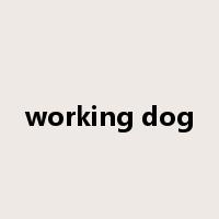 working dog是什么意思