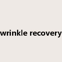 wrinkle recovery是什么意思
