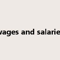 wages and salaries是什么意思