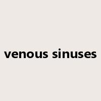 venous sinuses是什么意思