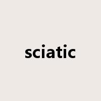 sciatic是什么意思