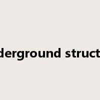 underground structure是什么意思