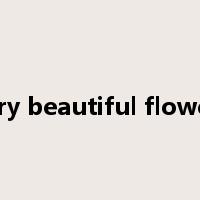 very beautiful flowers是什么意思