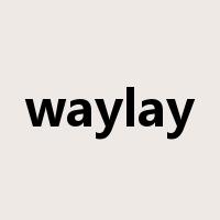 waylay是什么意思
