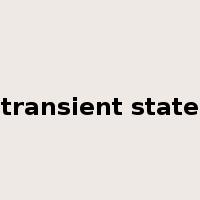 transient state是什么意思