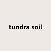 tundra soil是什么意思
