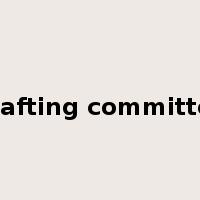 drafting committee是什么意思