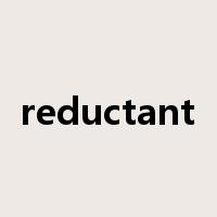 reductant是什么意思