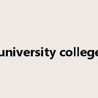 university college是什么意思