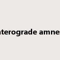 Anterograde amnesia是什么意思