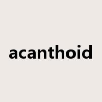 acanthoid是什么意思