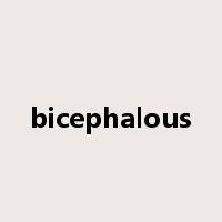 bicephalous是什么意思