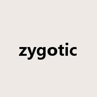 zygotic是什么意思