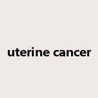 uterine cancer是什么意思