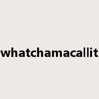whatchamacallit是什么意思