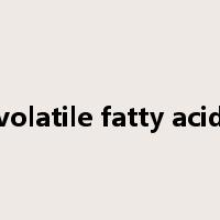 volatile fatty acid是什么意思