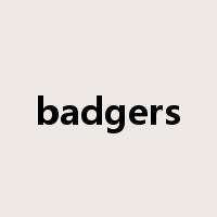 badgers是什么意思